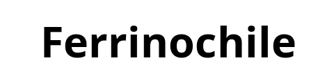 ferrinochile.com